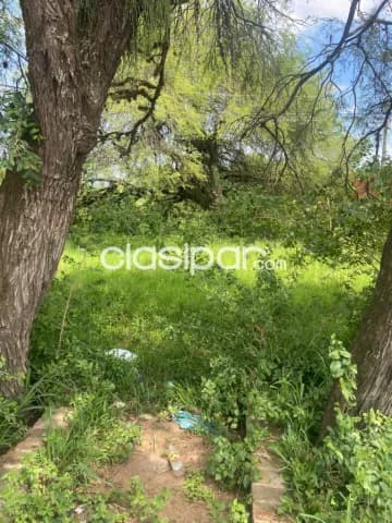 Chacoí, prox. Aduana s/ ruta: 1.000 m2 a precio de oferta total, 350.000.000 gs — foto 5