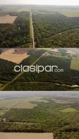 Campo Agrícola/Forestal en Pirapó costas al Río Pirapó y sobre Ruta - 59 Ha — foto 2
