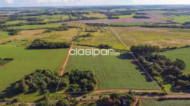 Terreno Agrícola Mecanizado en Los Cedrales - 19 Ha — foto 2