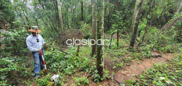 hermoso terreno de 3.3 Hectáreas en Ypacaraí sobre Ruta 2 COD V0339, foto 5