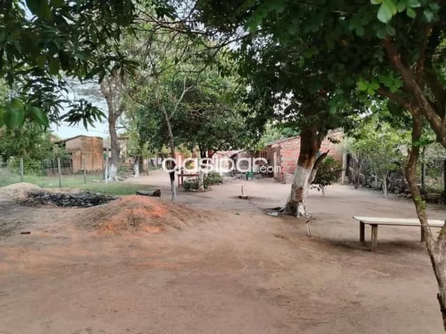 Gran terreno en Asunción a una cuadra de avda. Artigas y lombardo — foto 3