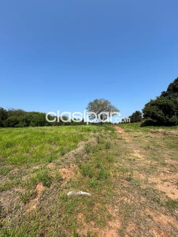 Terreno en Luque