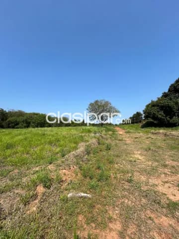Terreno en Luque — foto 2