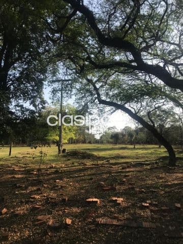 campo de 80 has en Tobati, con infraestructura