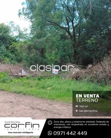 San Bernardino, 780m², increíble terreno totalmente arbolado cerca de la doble avenida — foto 2