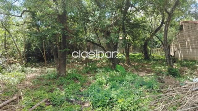 San Bernardino, 780m², increíble terreno totalmente arbolado cerca de la doble avenida — foto 3