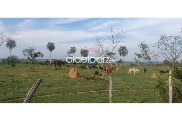 60 hectareas en curuguaty, foto 4