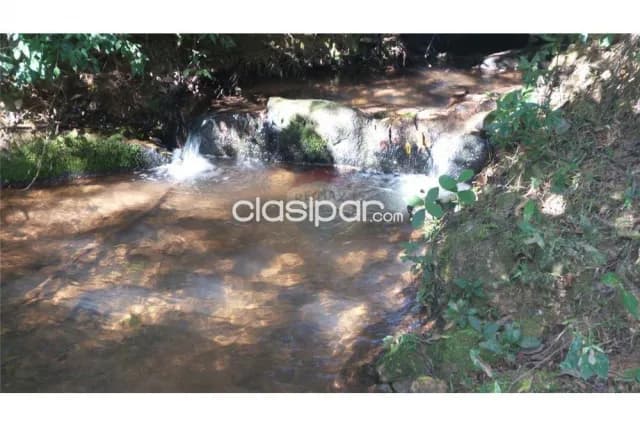 60 hectareas en curuguaty, foto 5