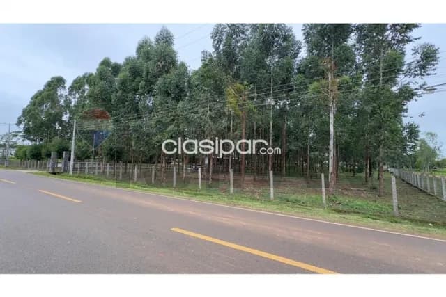 Estancia en primero de marzo — foto 3