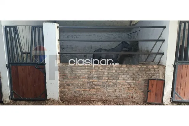 Estancia en primero de marzo — foto 4