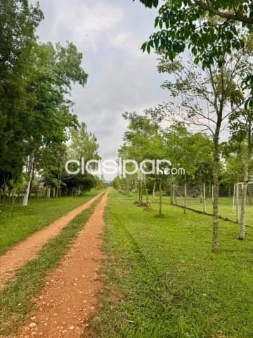 A Precio De Oferta Hermoso Y Amplio Terreno En San Bernardino Zona El Cortijo, foto 3