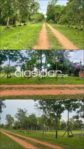 A Precio De Oferta Hermoso Y Amplio Terreno En San Bernardino Zona El Cortijo, foto 4
