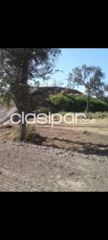 Campo de 3.700 Hectáreas en Zona Santa Marta, Boquerón - CLCS7526804, foto 2
