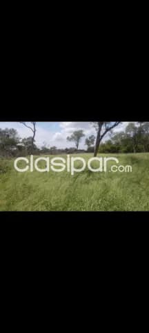 Campo de 3.700 Hectáreas en Zona Santa Marta, Boquerón - CLCS7526804, foto 3