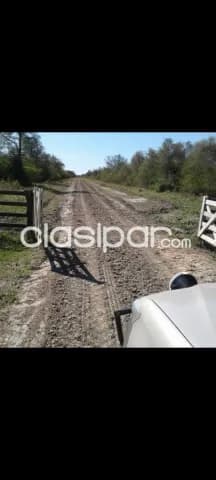 Campo de 3.700 Hectáreas en Zona Santa Marta, Boquerón - CLCS7526804, foto 4