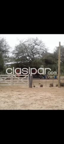 Campo de 3.700 Hectáreas en Zona Santa Marta, Boquerón - CLCS7526804, foto 5