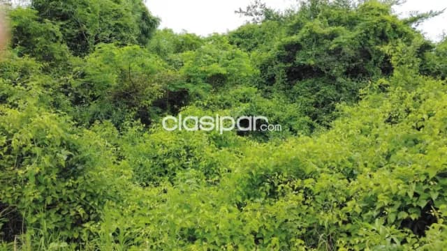 Luque – zárate isla – aeropuerto, 4 lotes 360 y 432 m², esquina y media cuadra — foto 4