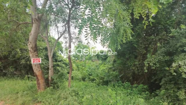 Luque – zárate isla – aeropuerto, 4 lotes 360 y 432 m², esquina y media cuadra — foto 5