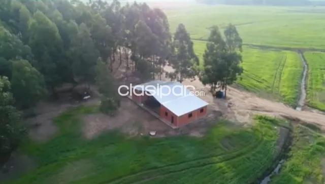 641 hectareas en caazapa cod 3653 — foto 4