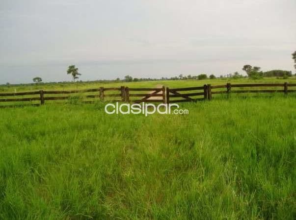 Campo de 5.075 Hectáreas Zona Agua Dulce, Alto Paraguay - CLCS7531741