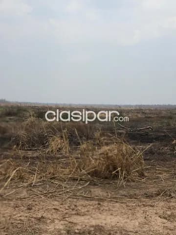 Campo de 5.075 Hectáreas Zona Agua Dulce, Alto Paraguay - CLCS7531741, foto 3