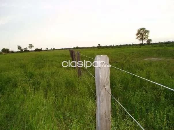 Campo de 5.075 Hectáreas Zona Agua Dulce, Alto Paraguay - CLCS7531741, foto 4