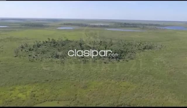 1200 hectareas en pilar — foto 4