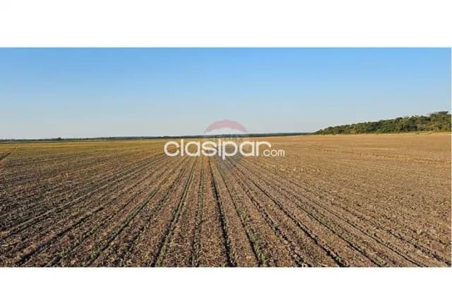 🌾 Oportunidad Única: Campo de 600 Hectáreas en San Pedro del Paraná, foto 5