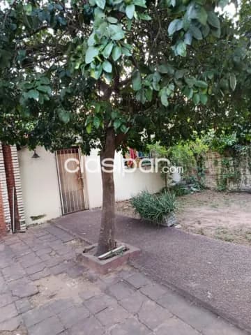 Casa en asuncion barrio roberto l petit 5920 — foto 3