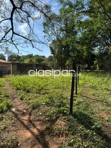 Terreno en Luque moracue cod 5923 — foto 2