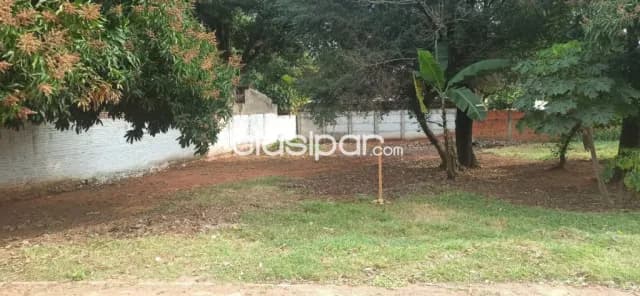 Terreno de 15x28 m2 en Barrio Centro de San Antonio zona Plaza El Mangal, foto 4