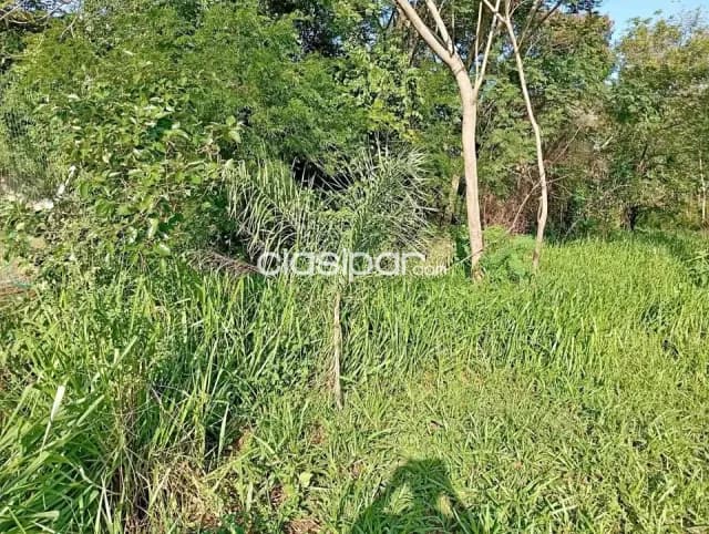 Vento Terreno de 4020 m2 en Barrio Salado de Limpio zona Frigochaco, foto 5