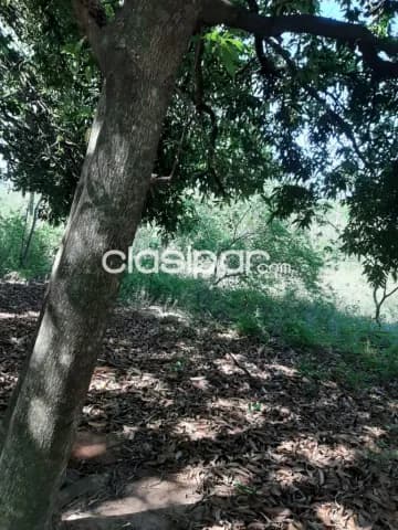 Oferta de 1 ha.en Nueva Colombia — foto 5