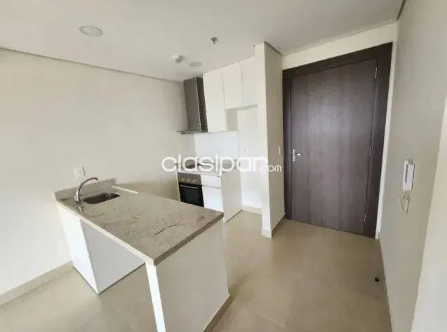 Hermoso departamento de 1 dormitorio en barrio mburucuya, foto 4