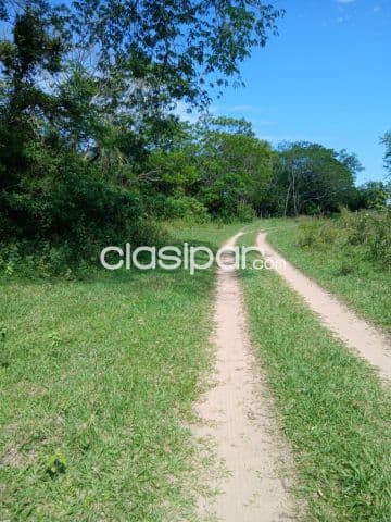 Oferta de 4.5 ha.entre Samber y Emboscada, foto 1