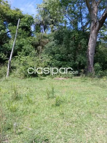 Oferta de 4.5 ha.entre Samber y Emboscada, foto 3