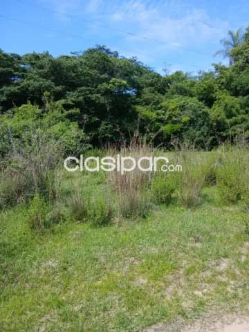 Oferta de 4.5 ha.entre Samber y Emboscada, foto 4