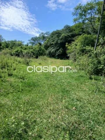 Oferta de 4.5 ha.entre Samber y Emboscada, foto 5