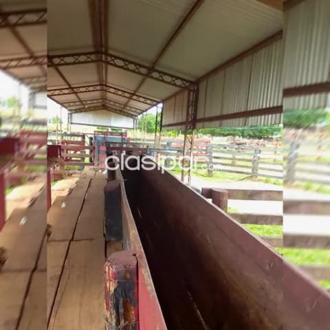 500 hectáreas con Pastura., total.: 900 ha. Tierra roja 💯%. Ganadería y Agricultura. Vdo, foto 3