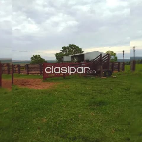 500 hectáreas con Pastura., total.: 900 ha. Tierra roja 💯%. Ganadería y Agricultura. Vdo, foto 4