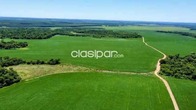 Campo Agrícola Mecanizado en San Pedro del Paraná - 680 Ha, foto 2