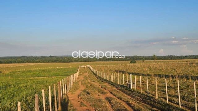Rancho hebron 30 hectáreas productivas en ybycui