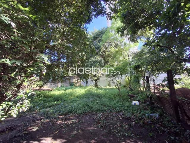 Casa para reciclar/demoler, terreno 15 X 53, foto 2