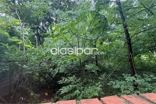 Terreno en caacupe, foto 4