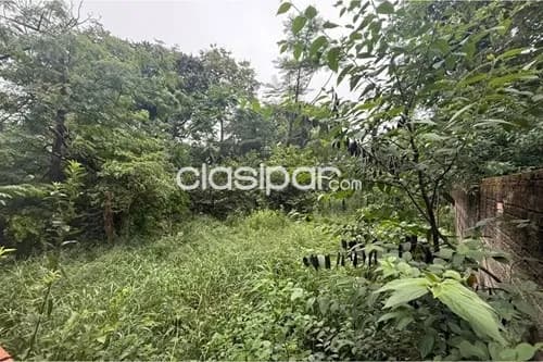 Terreno en caacupe, foto 5