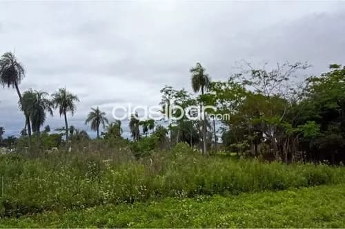 Terreno en la ciudad de ita limite itaugua, foto 3