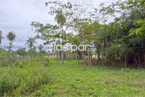 Terreno en la ciudad de ita limite itaugua, foto 4