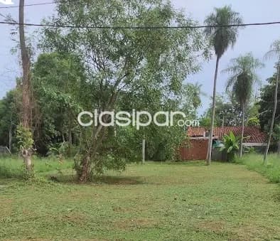 Un terreno! A transferir ya!, foto 3