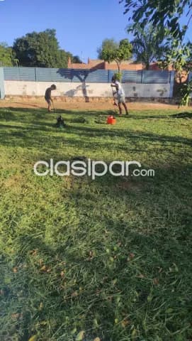 Un terreno! A transferir ya!, foto 5