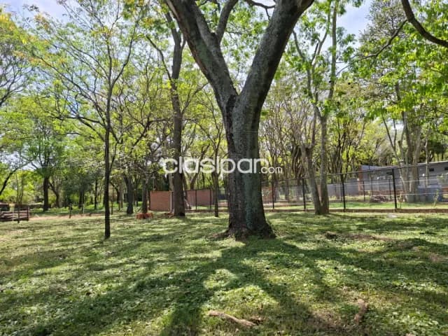 terreno en San Bernardino Ybyhanguy 2da, foto 3